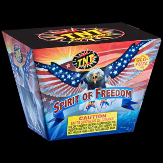 Freedom Spirit of Freedom