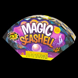 Magic Seashell